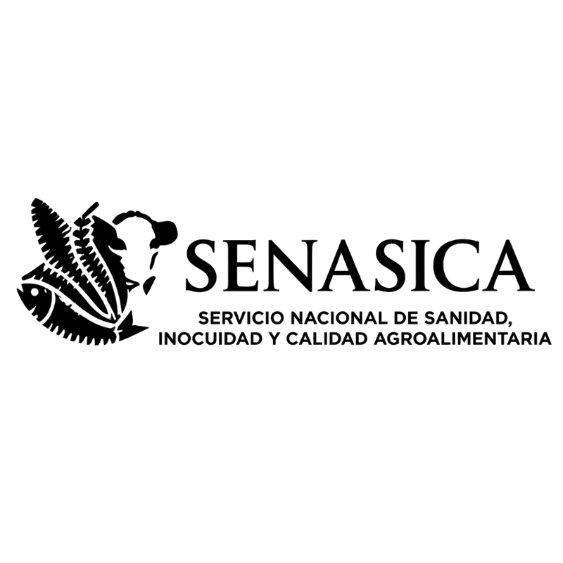Certificación 8
