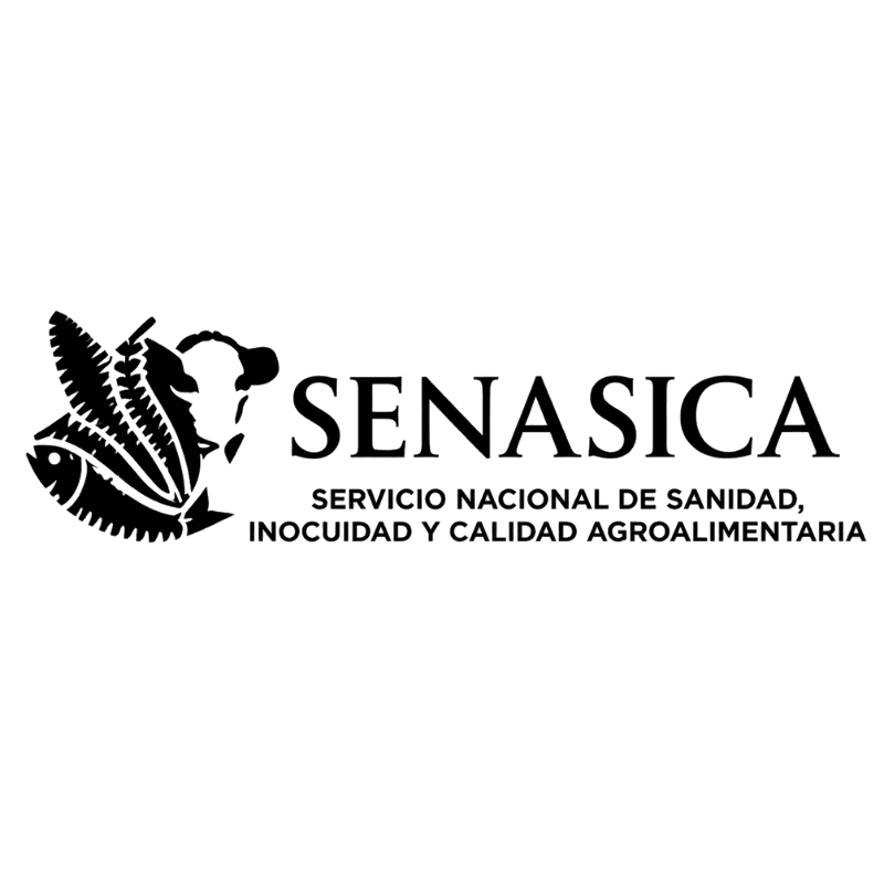 Certificación 7
